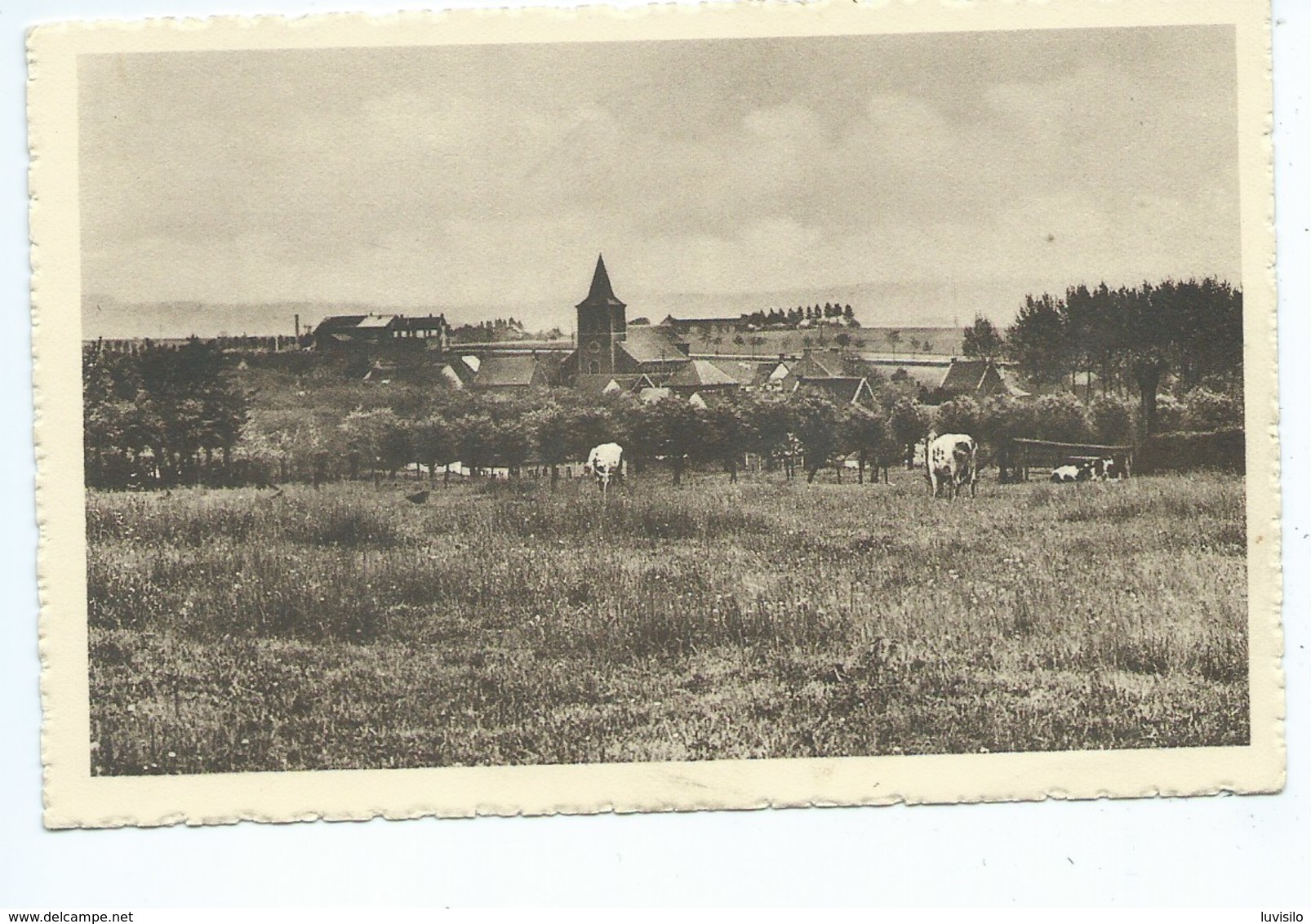 Hacquegnies Panorama - Frasnes-lez-Anvaing