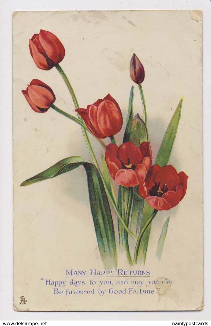 AJ97 Birthday Greeting - Flowers, Tulips - Birthday