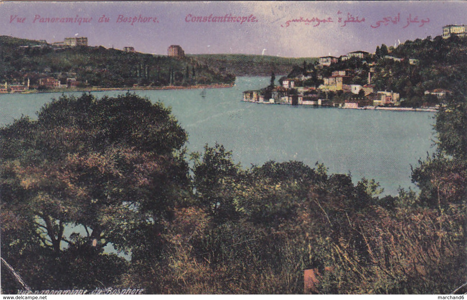 Turquie Constantinople Vue Panoramique Du Bosphore éditeur M J C N°70 - Turquie