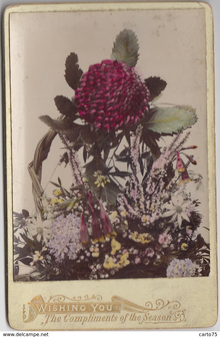 Australie - Fleurs De Bush Waratah - Photographie XIXème Siècle - Wishing You The Compliments Of The Season - Andere & Zonder Classificatie