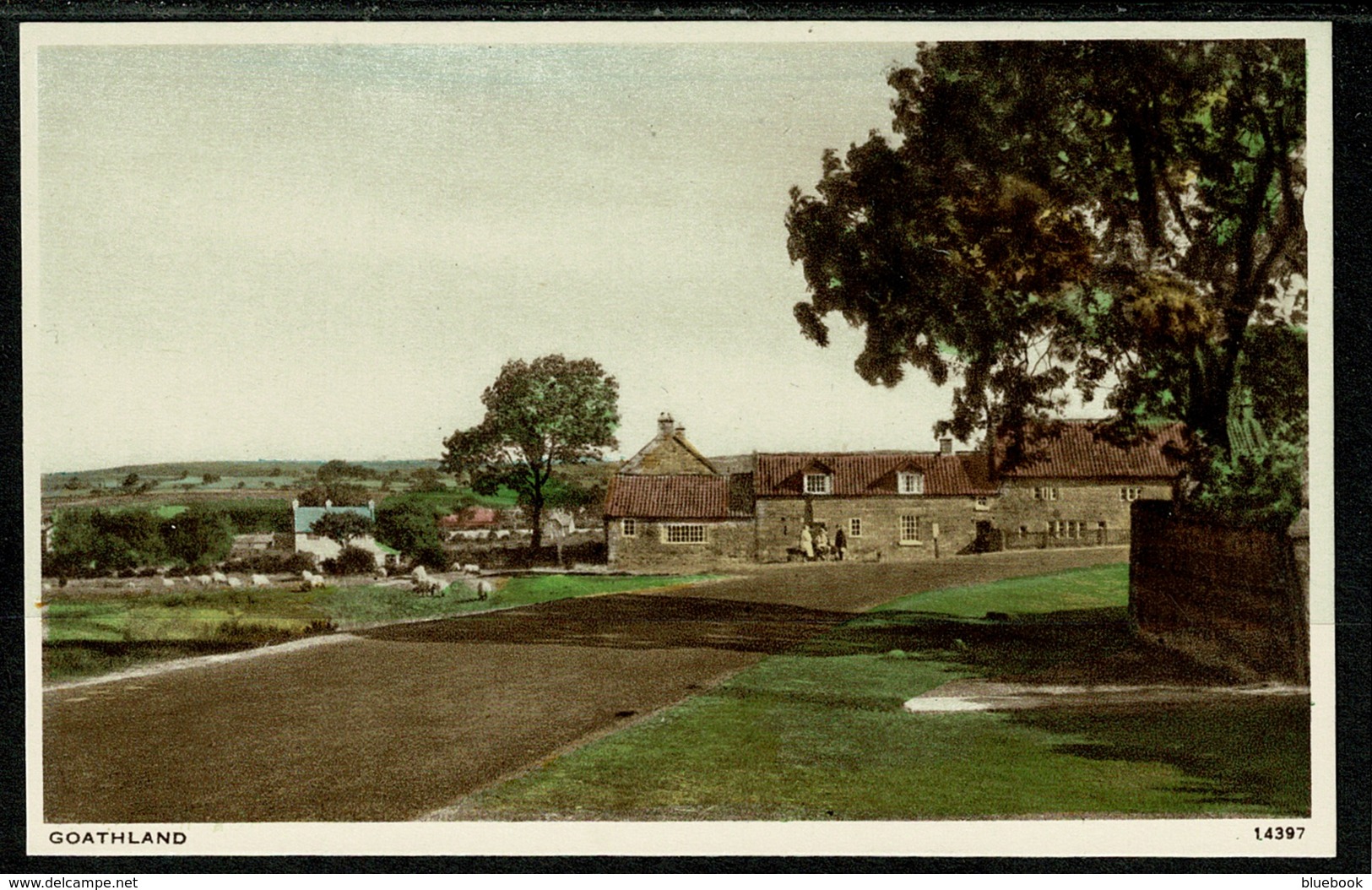 Ref 1259 - Early Pack Of 12 X J.Salmon Postcards - Goathland Yorkshire - Other & Unclassified