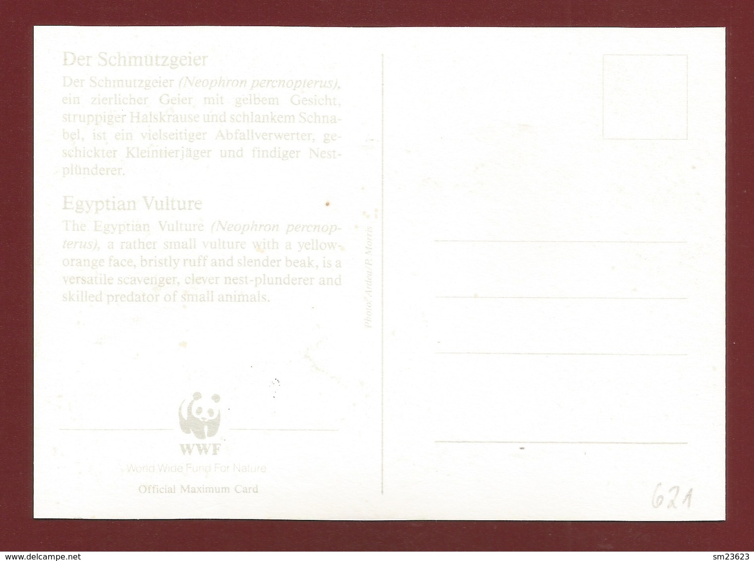 Gibraltar 1991 Mi.Nr. 621 , Egyptian Vulture / Schmutzgeier - WWF Official Maximum Card - 30th May 1991 - Cartes-maximum