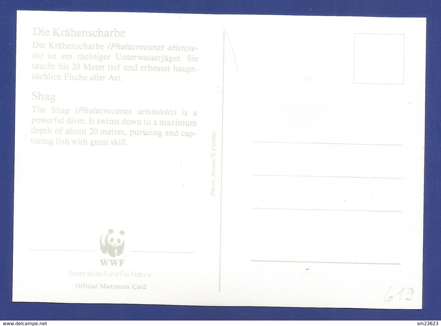 Gibraltar 1991 Mi.Nr. 619 , Shag / Die Krähenscharbe - WWF Official Maximum Card - 30th May 1991 - Cartes-maximum