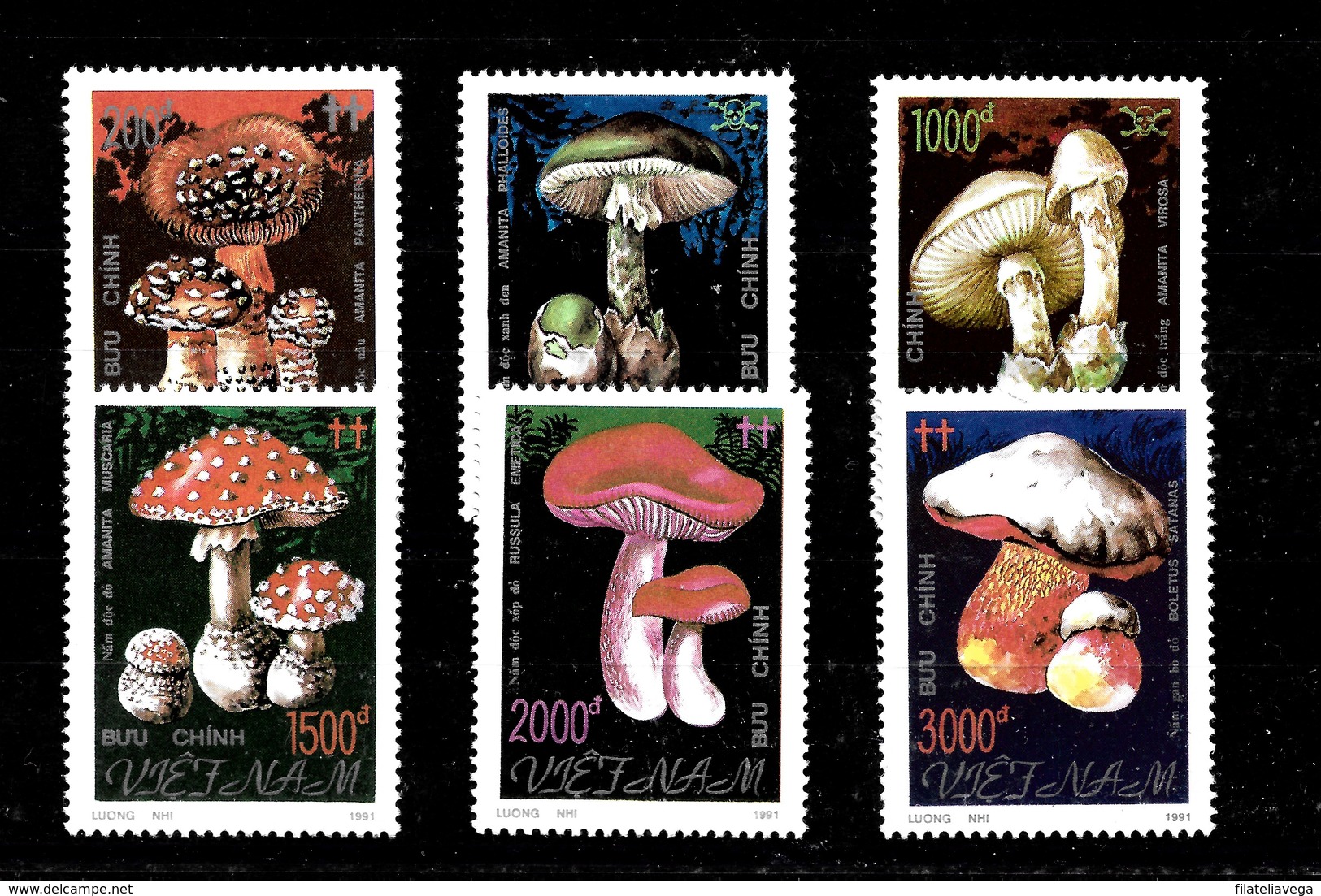 Serie De Vietnam Nº Yvert 2275/80 ** SETAS (MUSHROOMS) - Vietnam