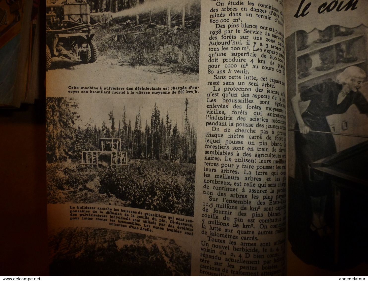 1951 MÉCANIQUE POPULAIRE:Faire encadrement de porte;Contre maladie des pins;Construire avec des agglos pierre-ponce; etc