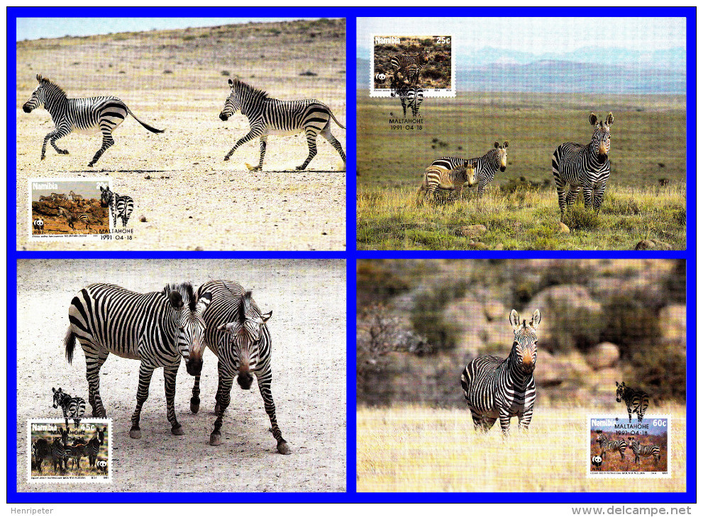 Protection De La Nature - Zèbre De Montagne De Hartmann (Equus Zebra Hartmannae) - Namibie - 1991 - Namibie (1990- ...)