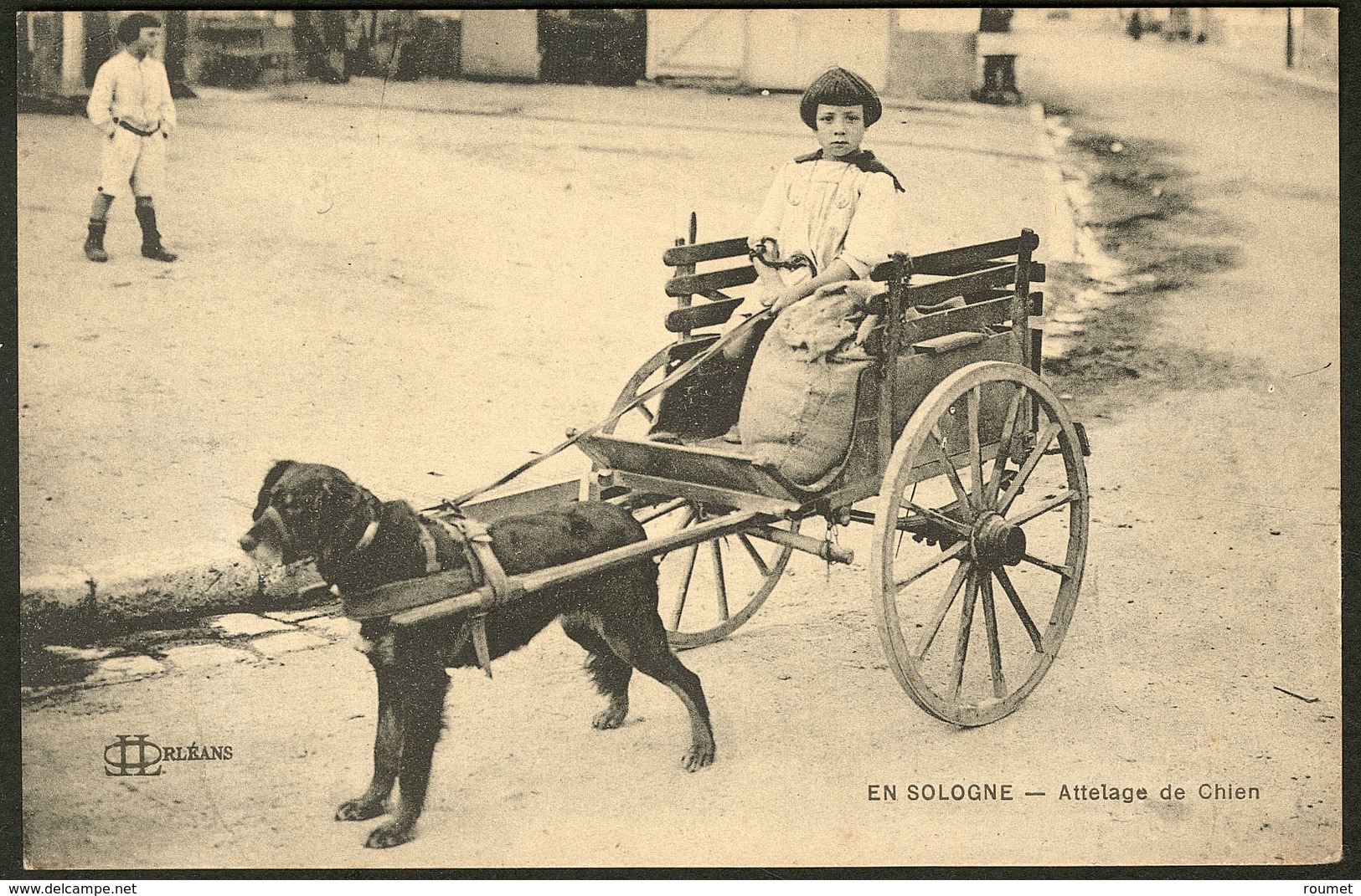 Lettre Cartes Postales. "Attelage De Chien En Sologne", CP Neuve, éd. LLOrléans. - TB - Zonder Classificatie