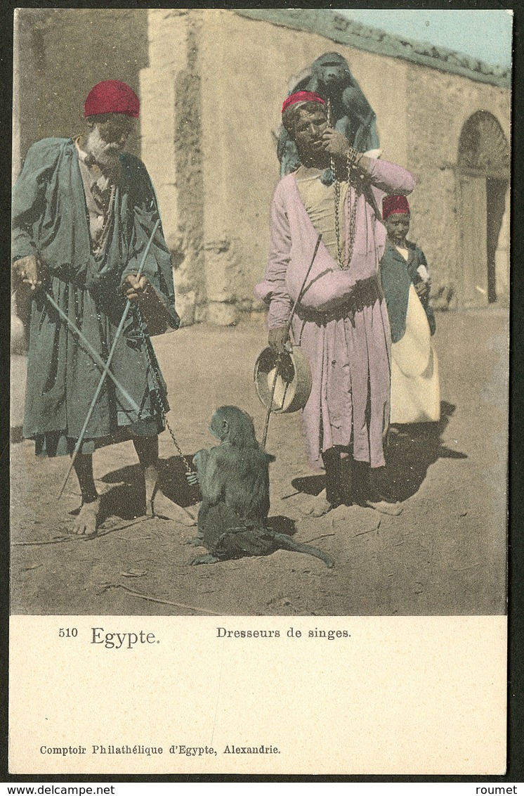 Lettre Cartes Postales. "510 Egypte Dresseurs De Singes", CP Neuve. - TB - Non Classés