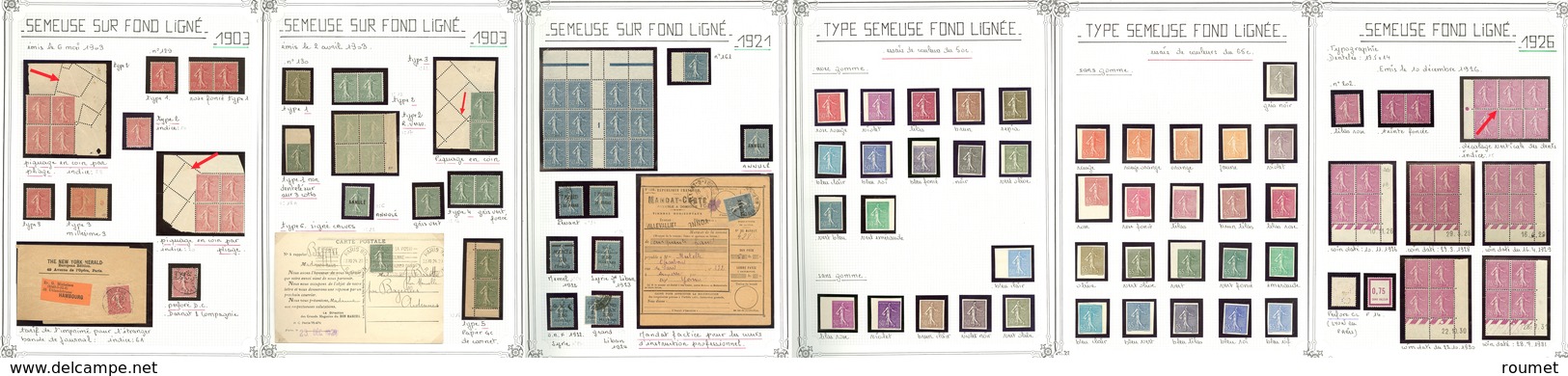 ** Semeuse Lignée. 1903-1938 (Poste, Mill., Cd, Essais), Nombreuses Variétés, Piquages, Plis Accordéon, Des Lettres, Ent - Collections