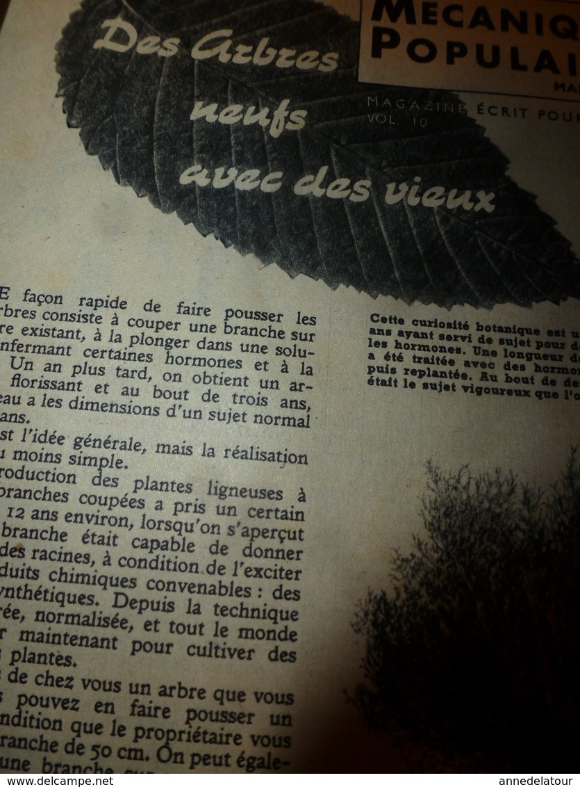 1951 MÉCANIQUE POPULAIRE:Des Arbres Neufs Avec Vieux;J'ai 1 Million De Grenouilles;Gravure Sur Pierre;Travail-bambou;etc - Other & Unclassified