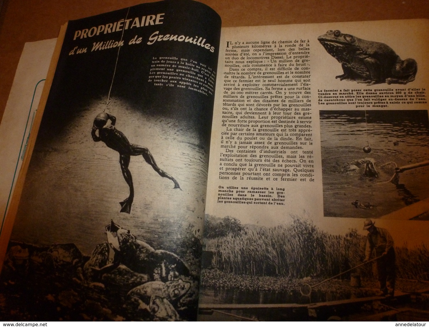 1951 MÉCANIQUE POPULAIRE:Des arbres neufs avec vieux;J'ai 1 million de grenouilles;Gravure sur pierre;Travail-bambou;etc