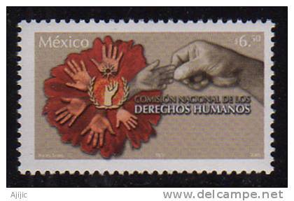 Mexique. Droits De L'Homme. 1 T-p Neuf **   Annee 2005 - Mexique