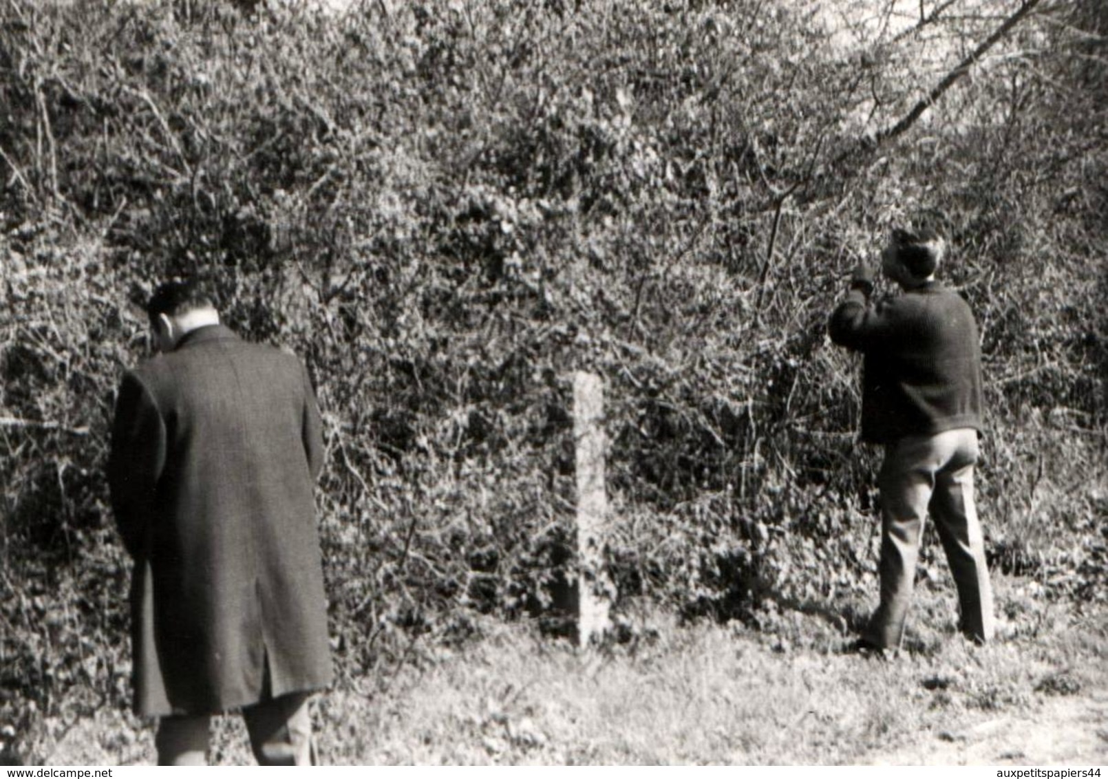 Photo Originale Petit Soulagement Entre Amis, Pause Pipi Au Jardin Vers 1960, 1 Main Ou 2 Mains Au Choix ! - Pin-up