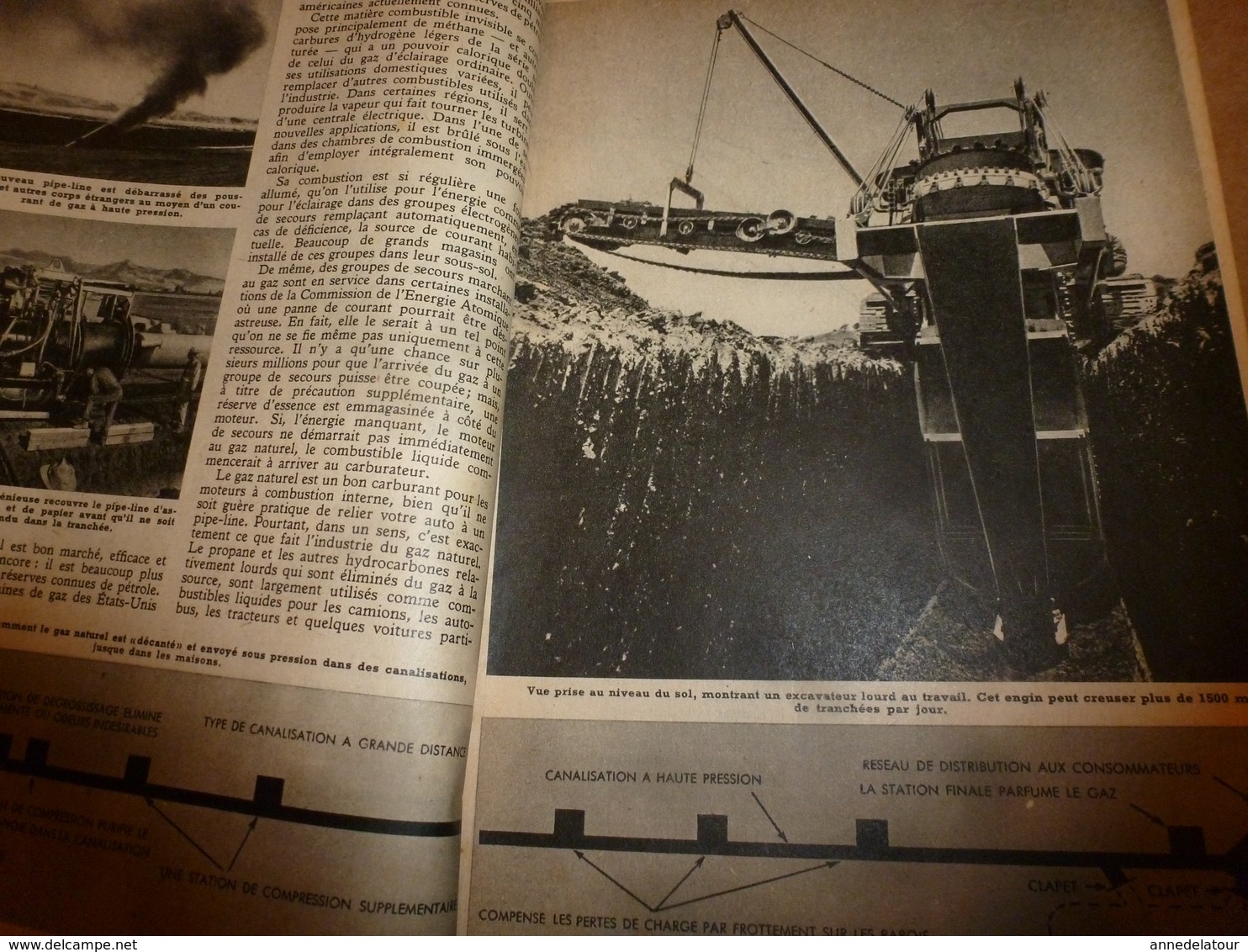 1951 MÉCANIQUE POPULAIRE: Construire Sa Maison En Contre-plaqué (2e Partie);Pour Avoir Une Belle Pelouse;Rejointoyer;etc - Autres & Non Classés