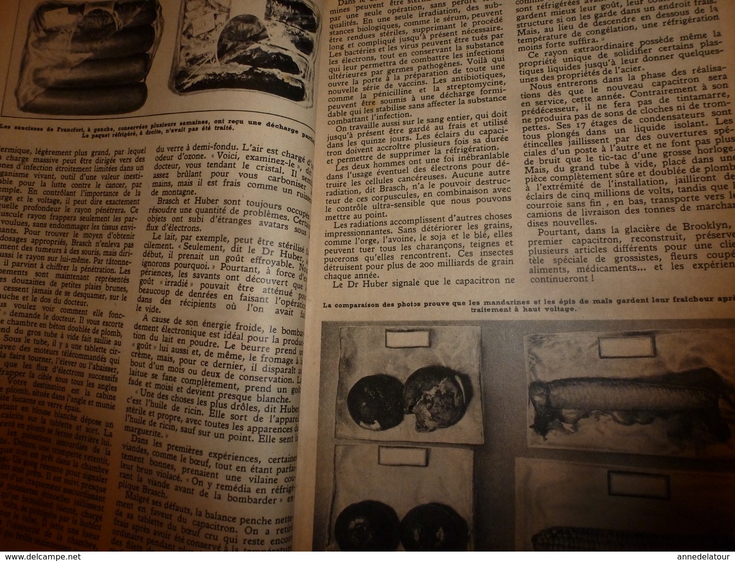 1951 MÉCANIQUE POPULAIRE: Construire sa maison en contre-plaqué (2e partie);Pour avoir une belle pelouse;Rejointoyer;etc