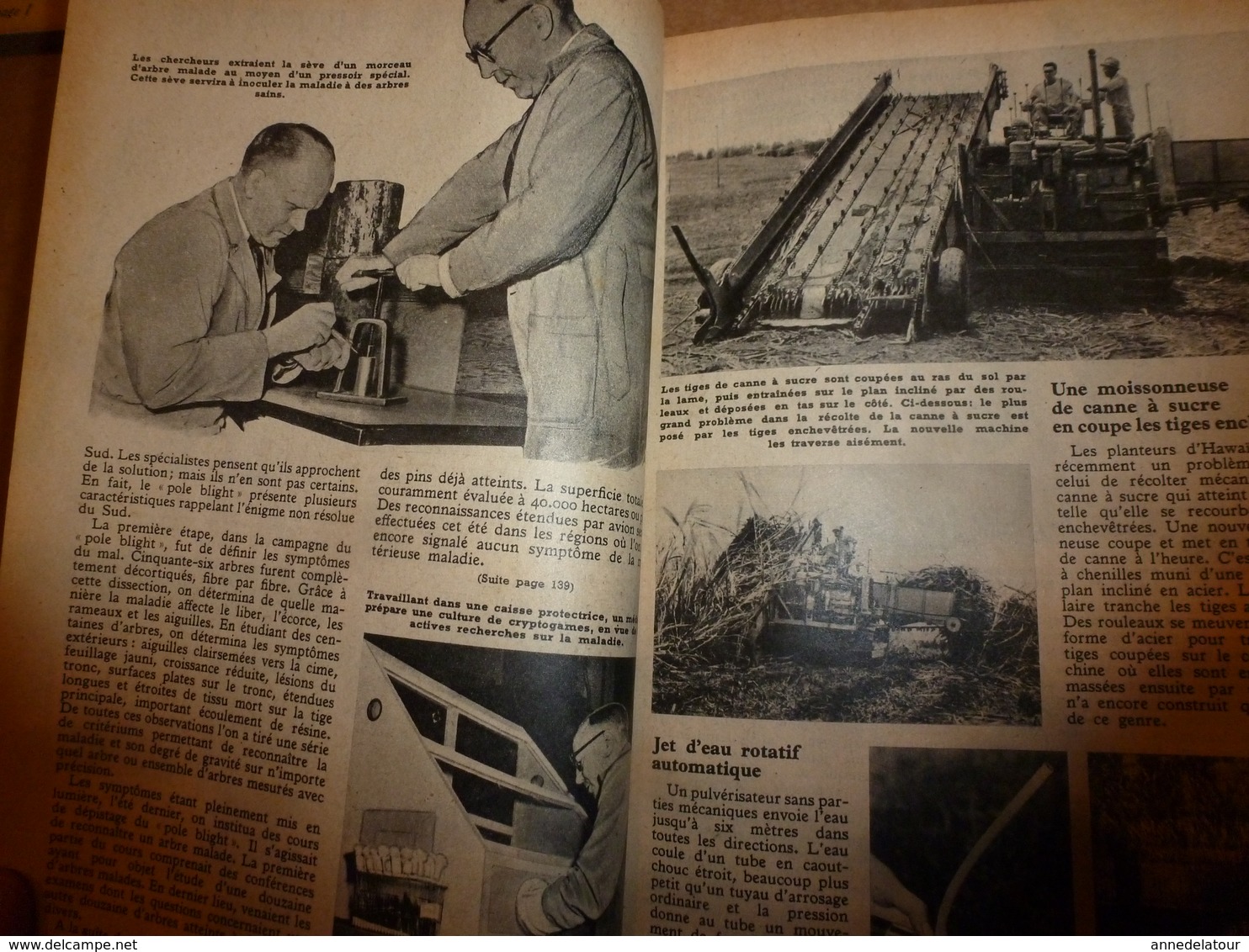 1951 MÉCANIQUE POPULAIRE: Construire sa maison en contre-plaqué (2e partie);Pour avoir une belle pelouse;Rejointoyer;etc