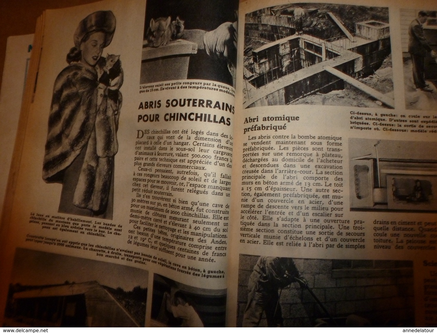 1951 MÉCANIQUE POPULAIRE: Construire sa maison en contre-plaqué (2e partie);Pour avoir une belle pelouse;Rejointoyer;etc