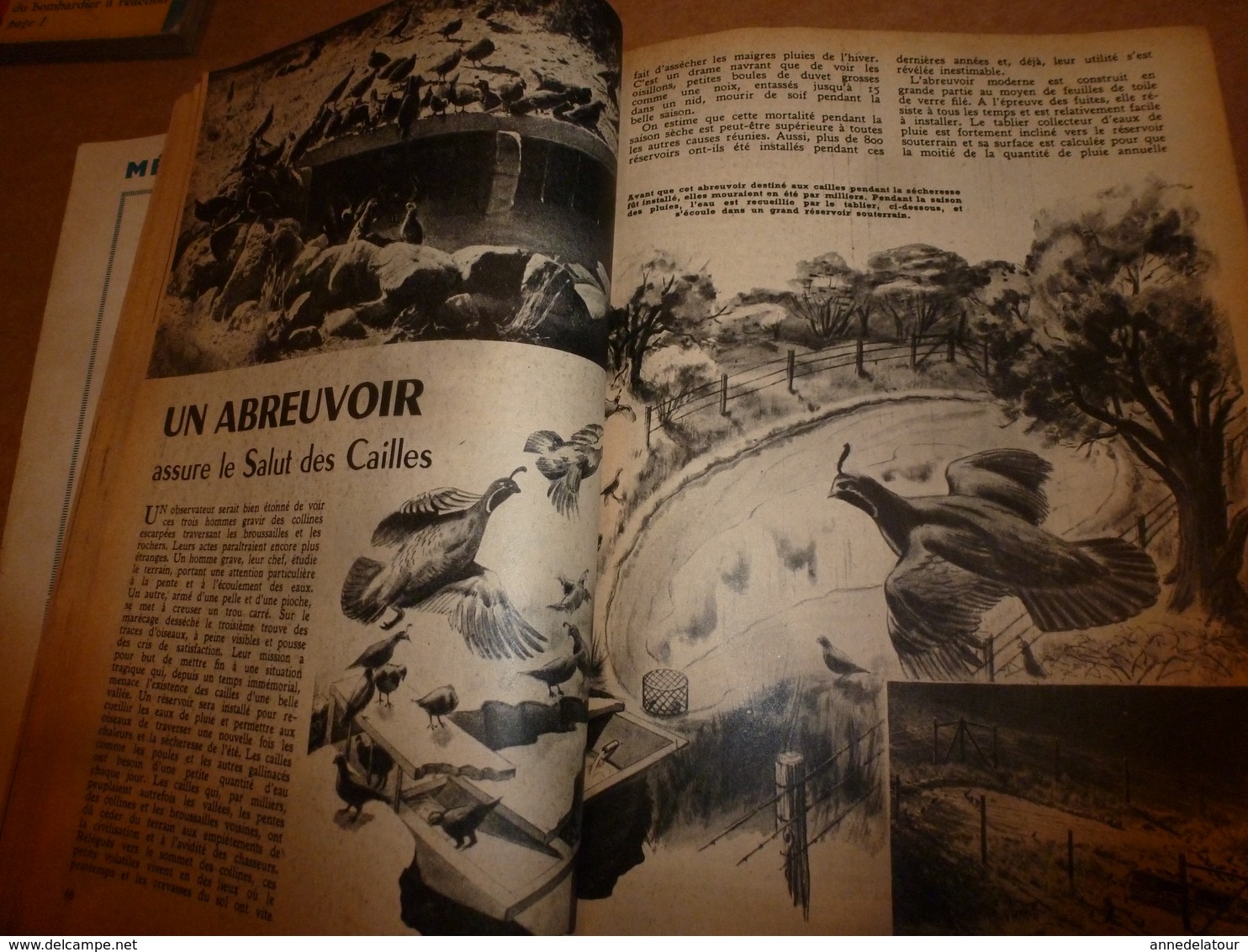 1951 MÉCANIQUE POPULAIRE: Construire sa maison en contre-plaqué (2e partie);Pour avoir une belle pelouse;Rejointoyer;etc