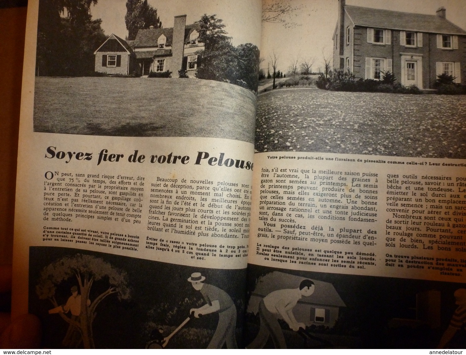 1951 MÉCANIQUE POPULAIRE: Construire sa maison en contre-plaqué (2e partie);Pour avoir une belle pelouse;Rejointoyer;etc