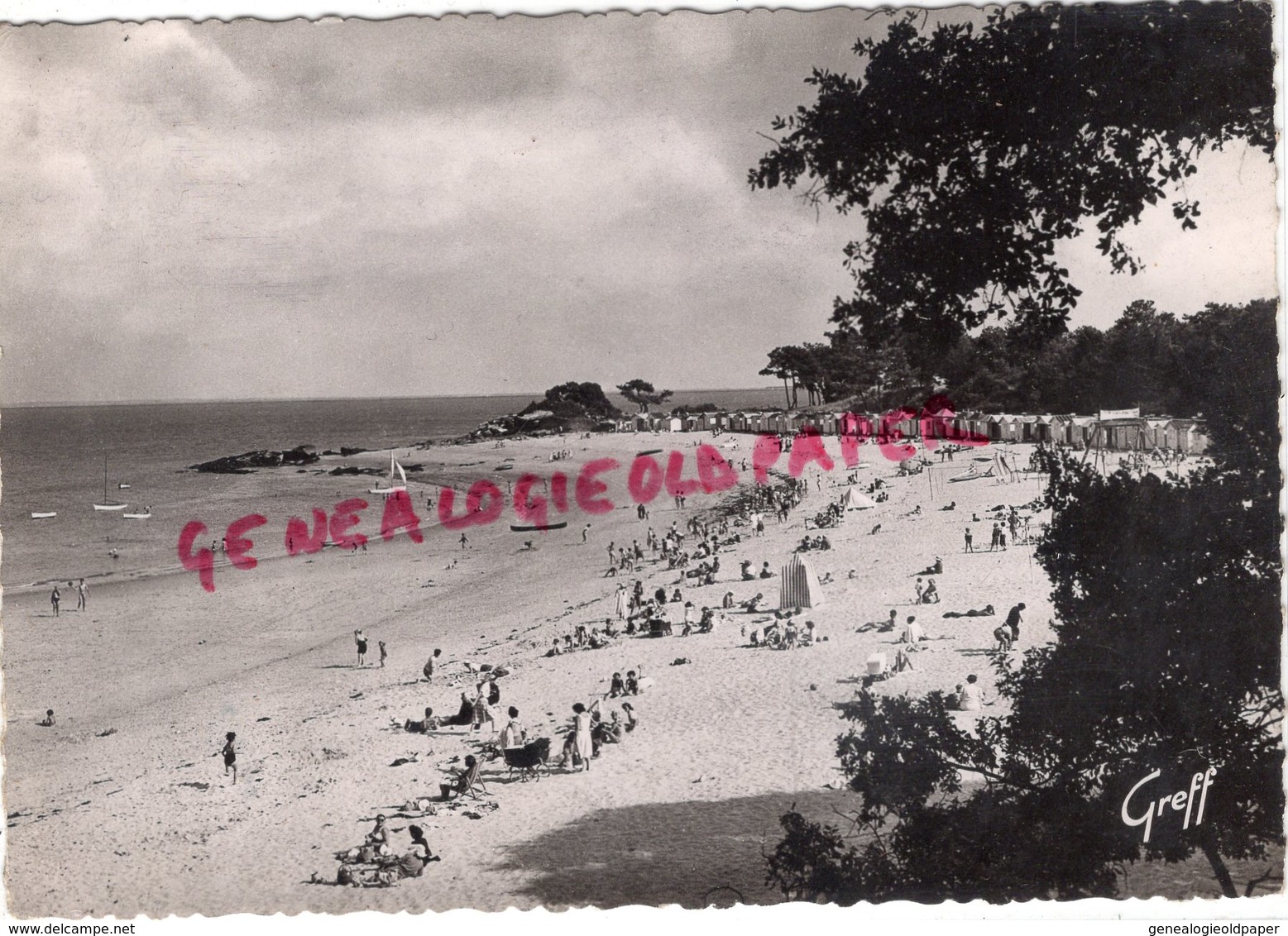 85- NOIRMOUTIER - LA PLAGE DES DAMES - Ile De Noirmoutier