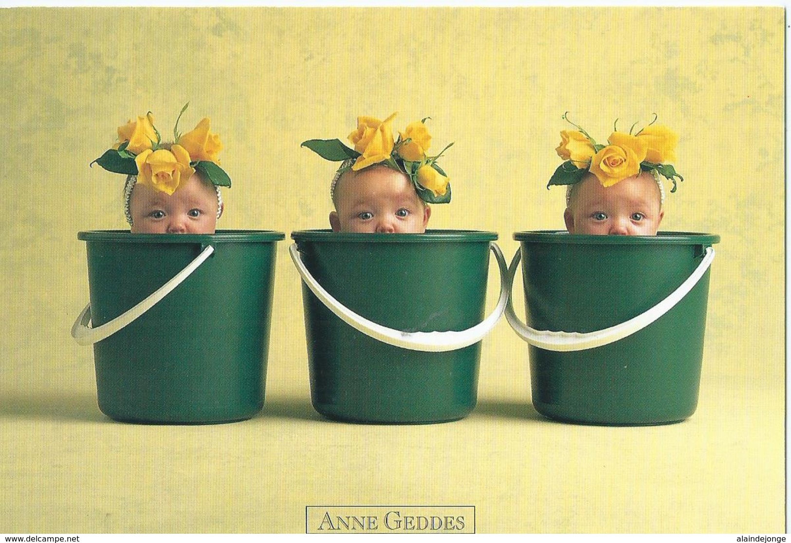 Anne Geddes Children - Sonstige & Ohne Zuordnung