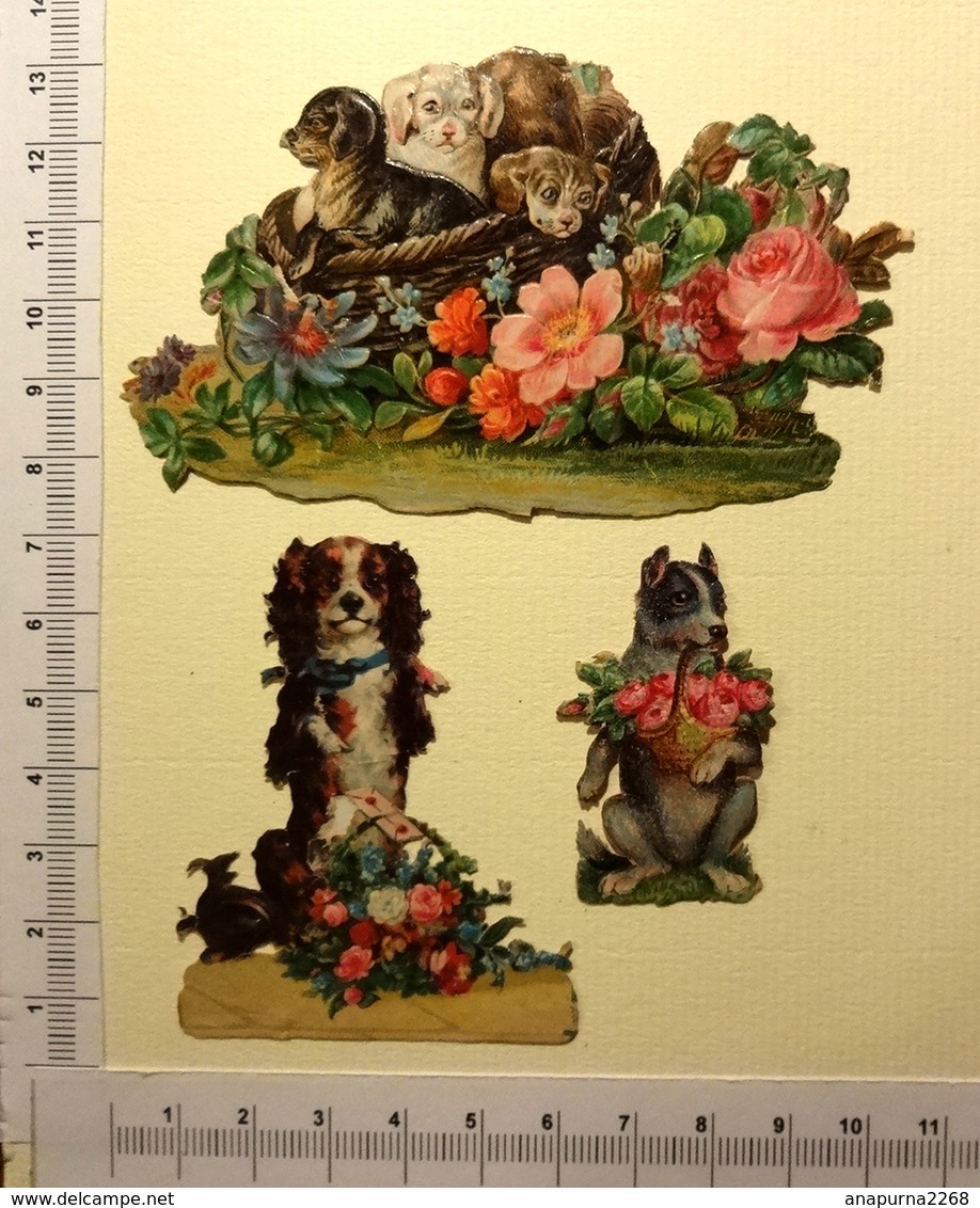 3 CHROMOS DECOUPIS ....CHIENS AVEC CORBEILLE DE FLEURS - Tiere