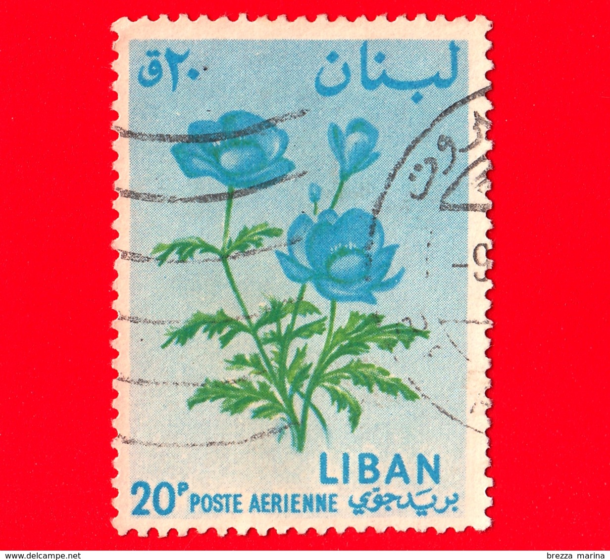 LIBANO- Libanon - Usato - 1964 - Fiori - Flowers - Blumen - Bloemen - Fleurs - 20 - Libano