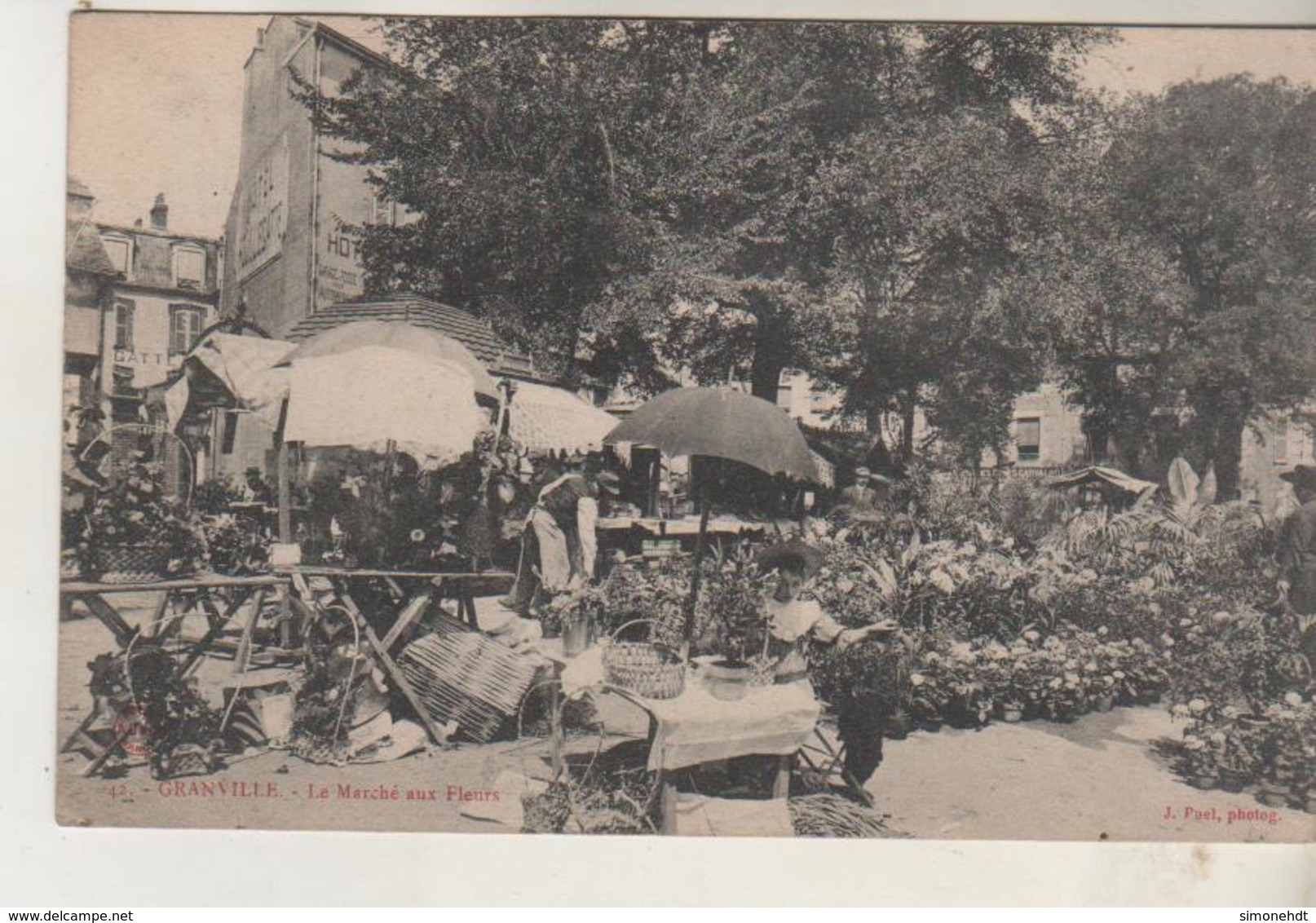 GRANVILLE - Le Marché Aux Fleurs - Granville