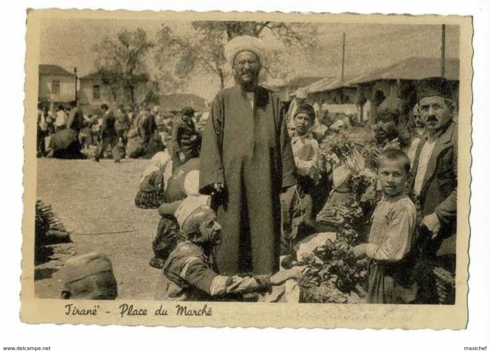 CPSM 105 X 148 Mm - Tiranë - Vendeur D'eau (sur Le Marché, Panier De Légumes, Animation, Chevaux Arabes) Pas Circ - Albanien