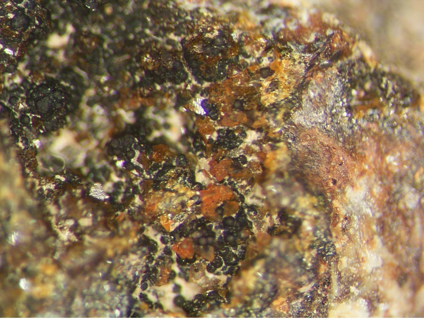 * KINTOREITE Xls, Hoschseidt, Mine, Oberkleinich, Hunsrück, BRD * - Minéraux