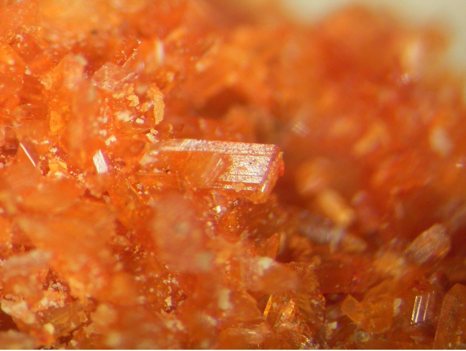 * PARAVAUXITE Xls, Mina Siglo, Llallagua, Bolivia * - Minéraux