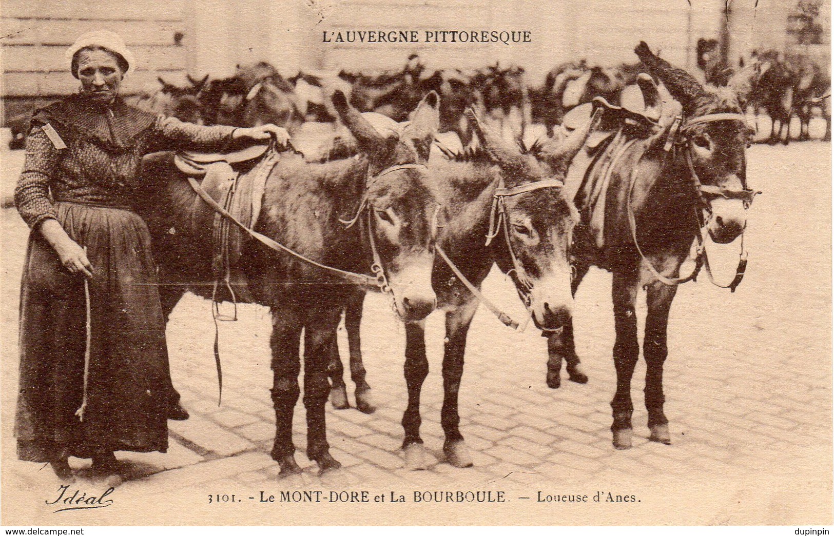 LE MONT DORE Et LA BOURBOULE. - Loueuse D'Anes - La Bourboule