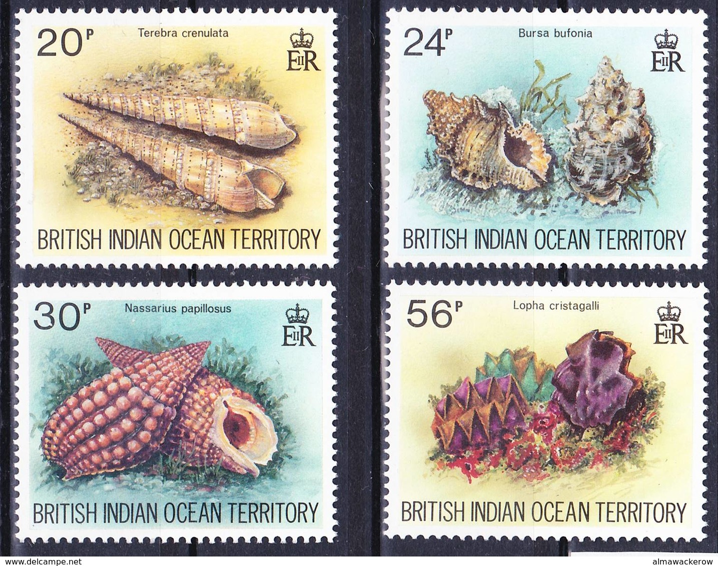 BIOT British Indian Ocean Territory 1996 Marine Life Shells Complete Set Mi 179-182 MNH **, I Sell My Collection! - Territoire Britannique De L'Océan Indien