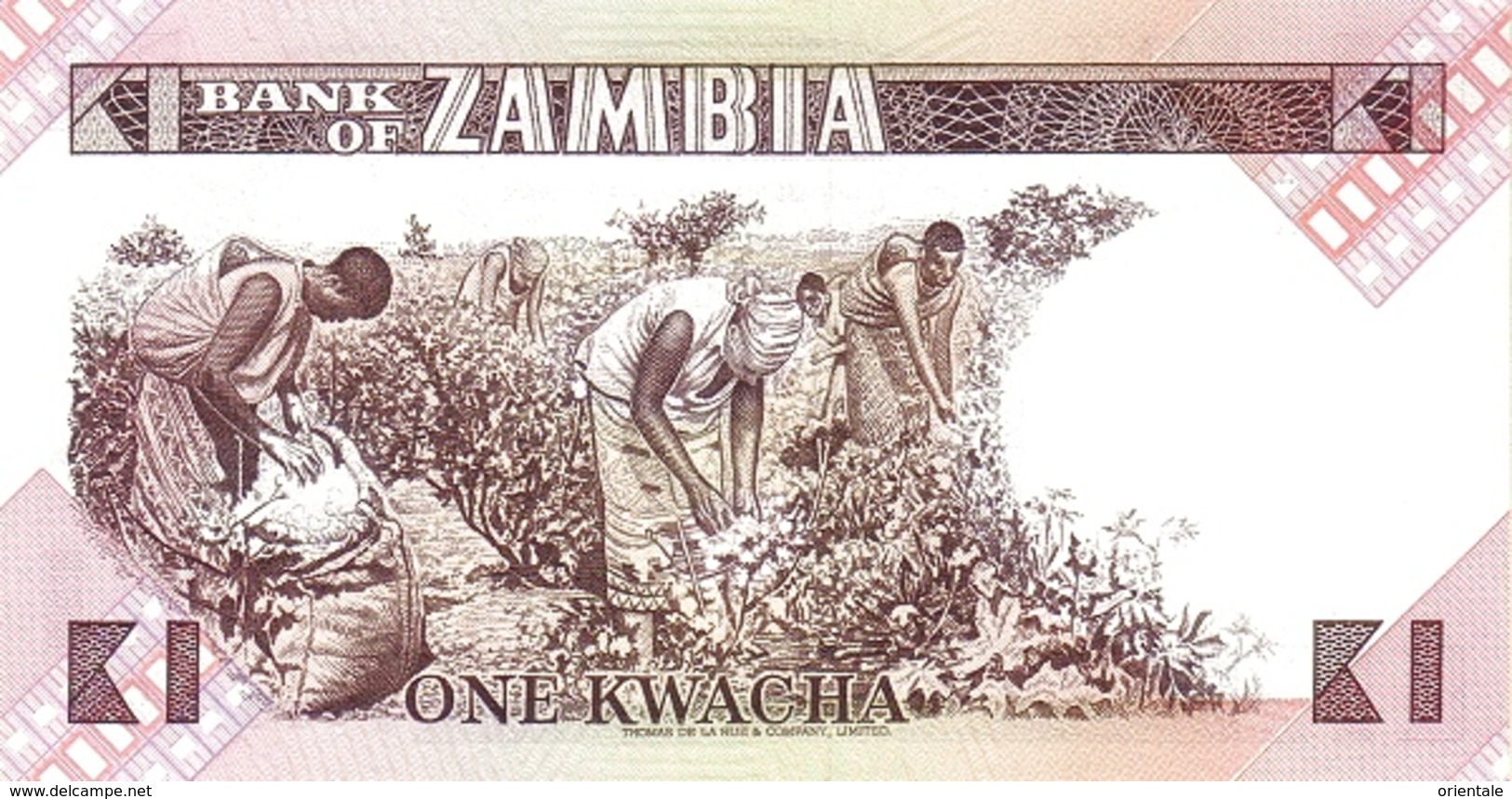 ZAMBIA P. 23a 1 K 1980 UNC - Zambie