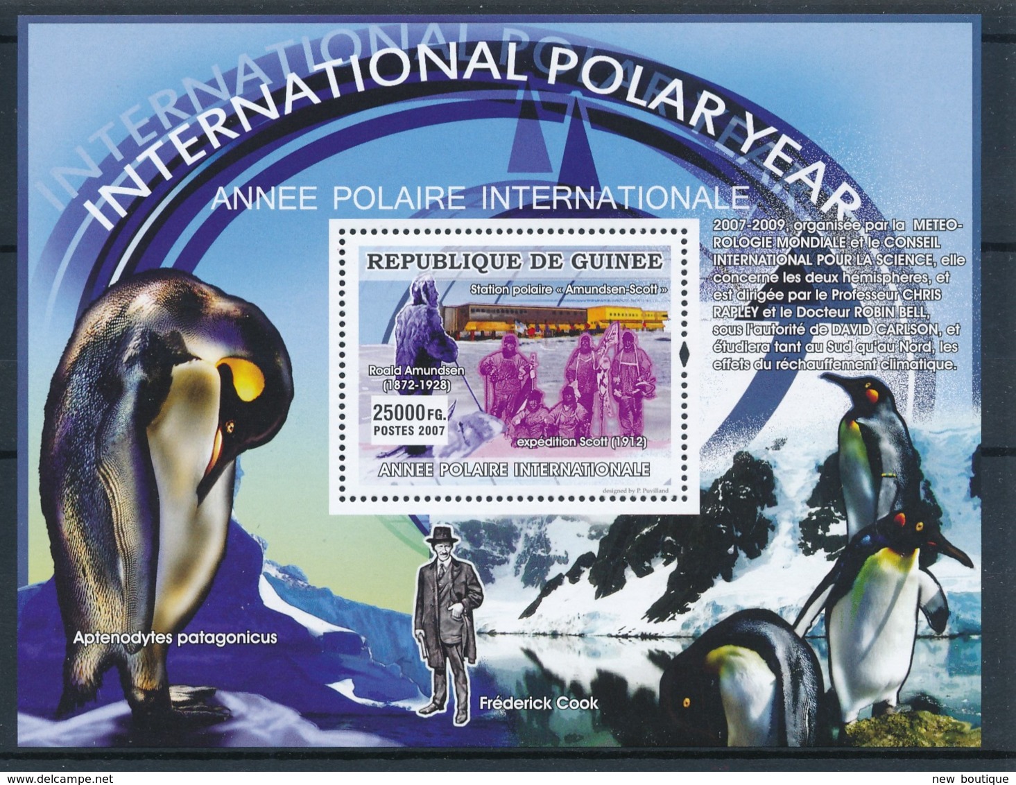 NB - [402099]Guinée 2007 - Année International Polaire, Pingouins & Manchots - Année Polaire Internationale