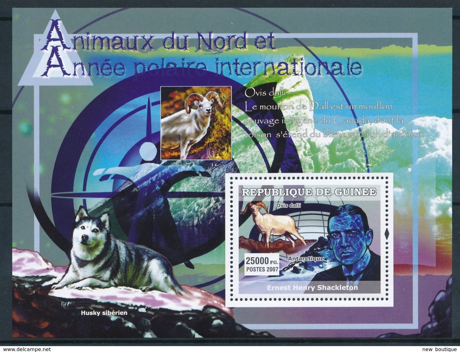 NB - [402231]Guinée 2006 - Animaux Du Nord Et Année Polaire Internationale, Husky, Mouton - Année Polaire Internationale