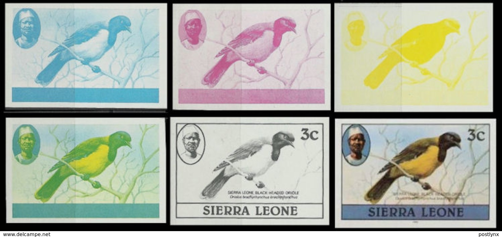 SIERRA LEONE 1980 Birds Oriole 3c Imp.1981 Wmk CA PROGRESSIVE PROOFS:6 - Sierra Leone (1961-...)