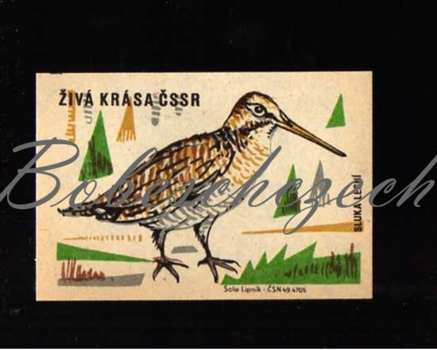 C02 CZECHOSLOVAKIA 1961 Live Beauty Of The Czechoslovak Socialist Republic - Eurasian Woodcock Scolopax Rusticola - Boites D'allumettes - Etiquettes