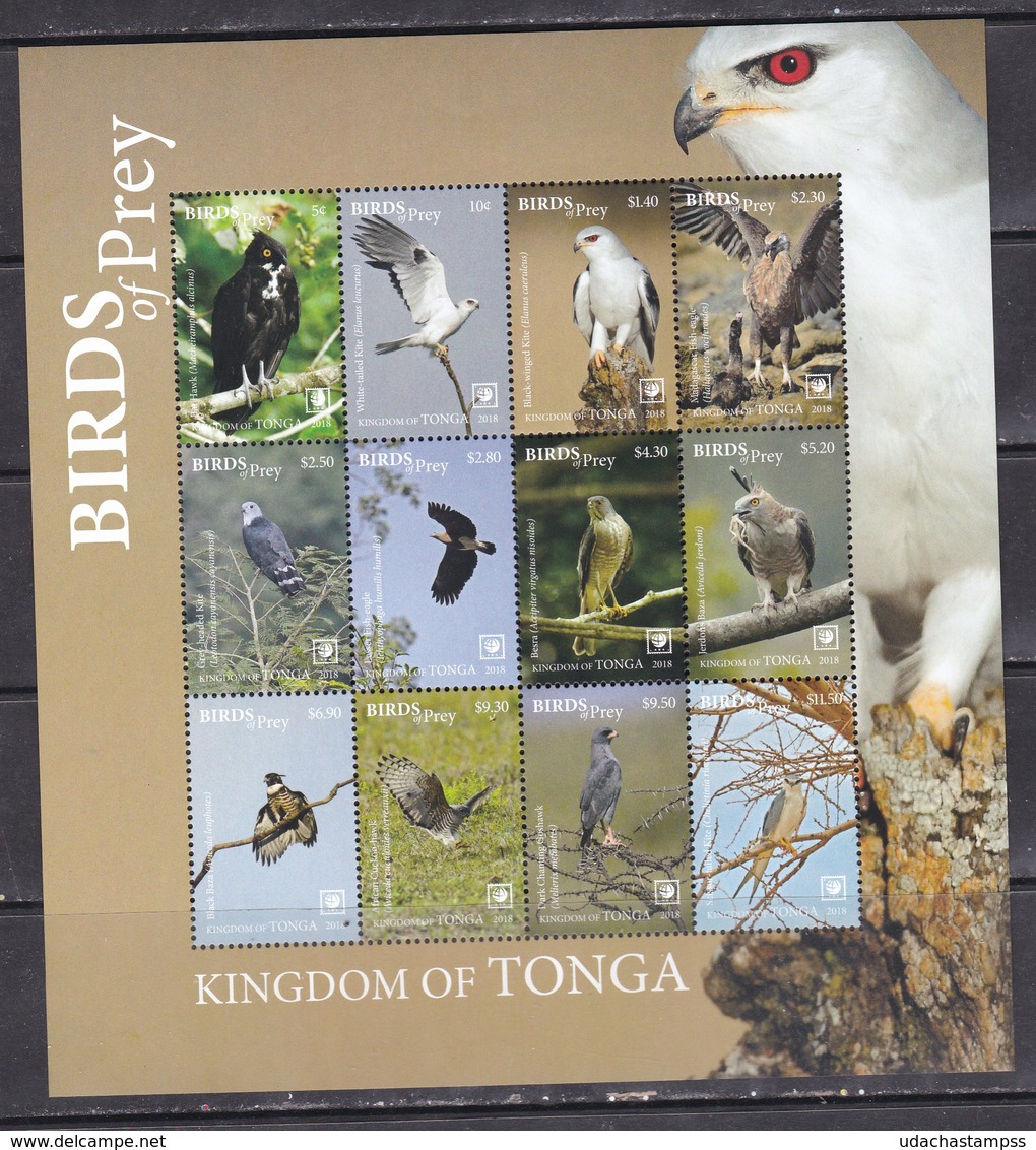 Tonga 2018 Birds Of Prey Falcons Etc Klb MNH - Owls