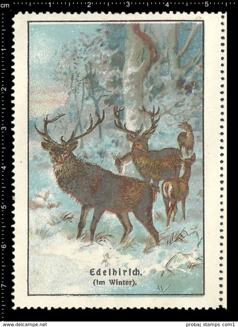 Set Of 6 German Poster Stamp Reklamemarke Vignette Erinnofili Publicité DEER, HIRSCH, CERVO, CERF, Set 1 - Very Rare ! - Erinnophilie