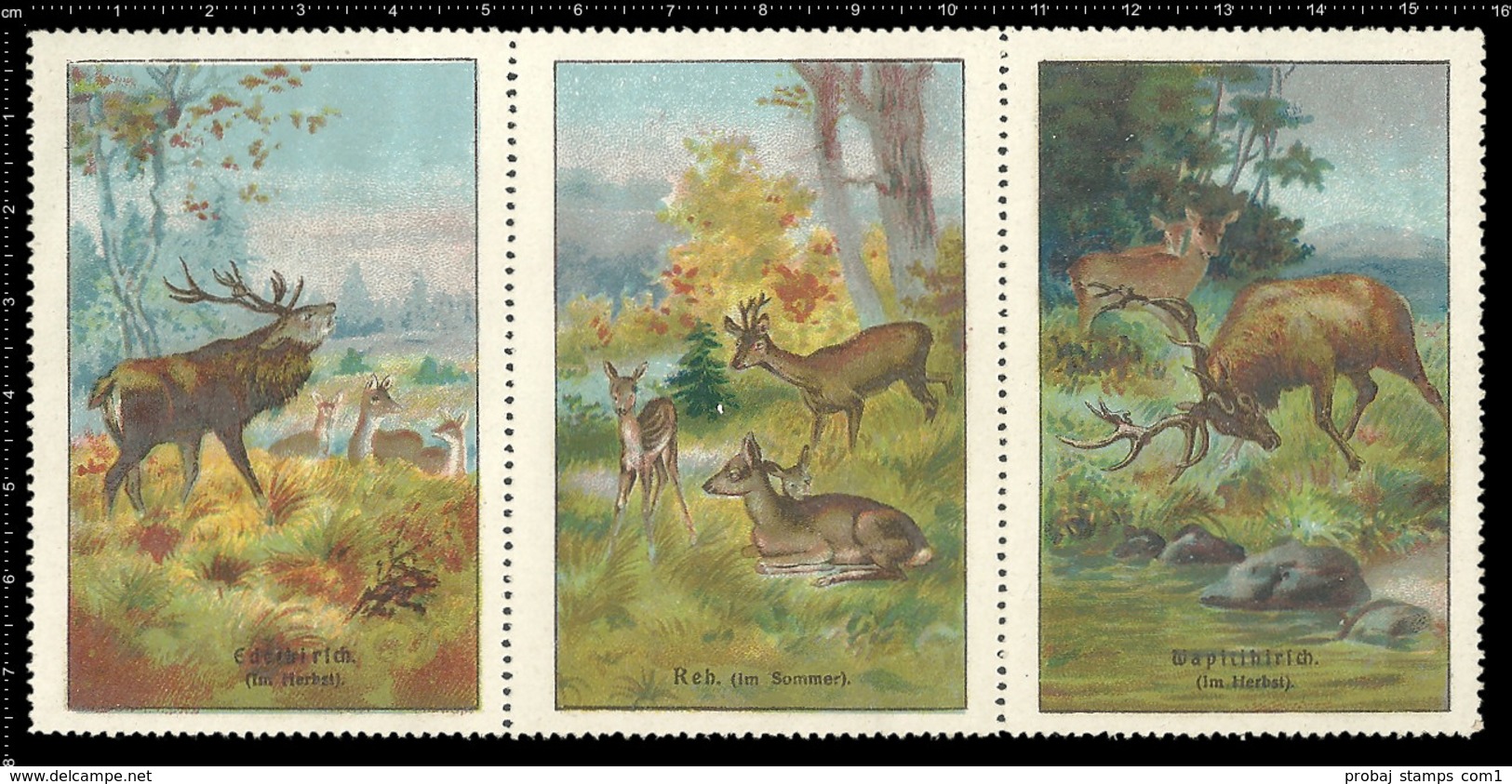 Set Of 6 German Poster Stamp Reklamemarke Vignette Erinnofili Publicité DEER, HIRSCH, CERVO, CERF, Set 2 - Very Rare ! - Erinnophilie