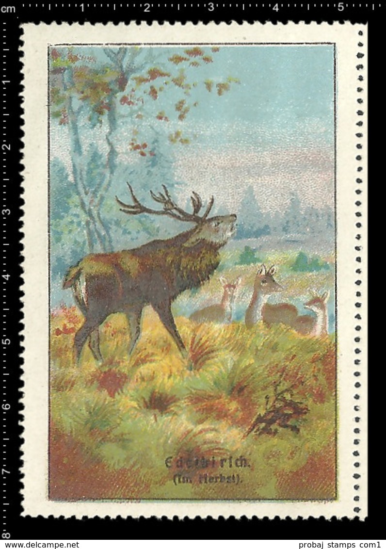 Set Of 6 German Poster Stamp Reklamemarke Vignette Erinnofili Publicité DEER, HIRSCH, CERVO, CERF, Set 2 - Very Rare ! - Erinnophilie