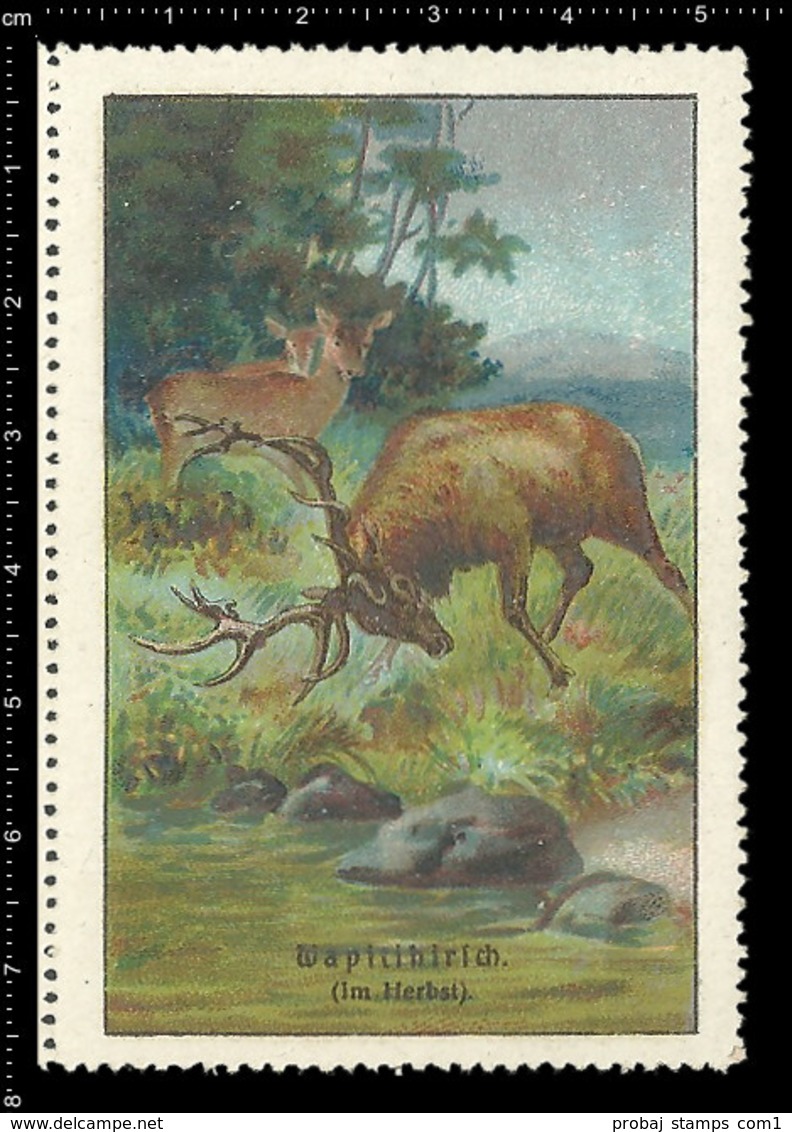 Set of 6 German poster stamp Reklamemarke Vignette Erinnofili publicité DEER, HIRSCH, CERVO, CERF, Set 2 - Very rare !