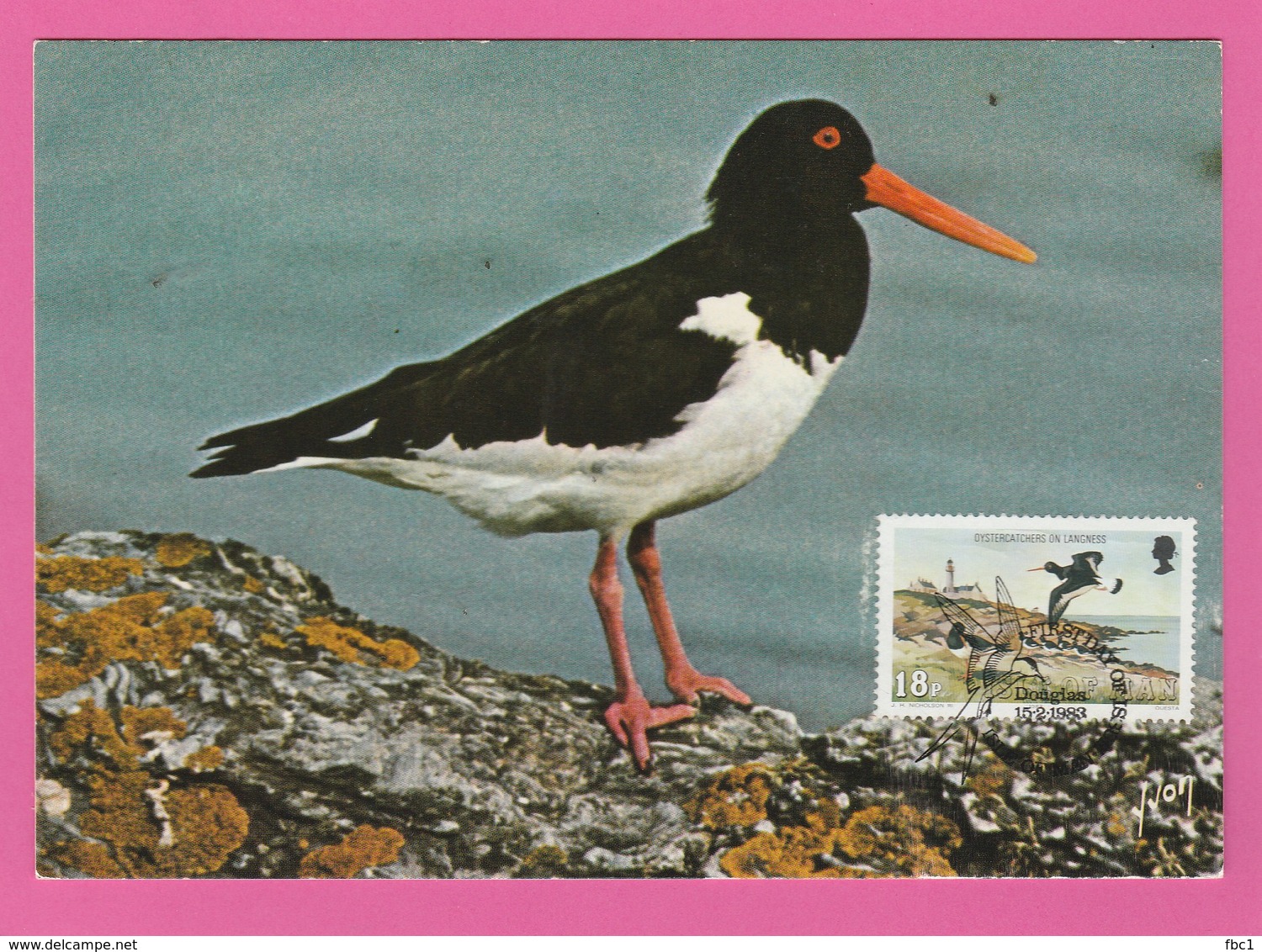 Carte Maximum - Oiseaux - Pie De Mer - Isle Of Man 1983 - Autres & Non Classés