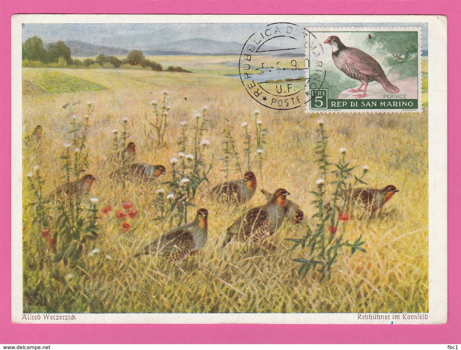 Carte Maximum - Oiseaux - Perdrix - Rep Di San Marino - Rebhühner & Wachteln