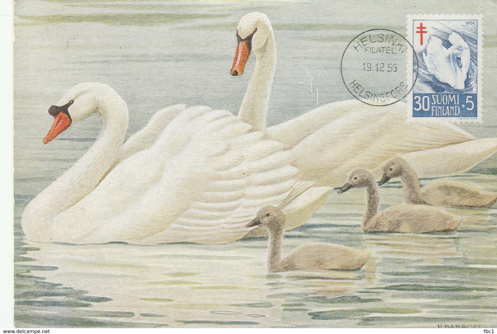 Carte Maximum - Oiseaux - Cygnes - Finlande - 1955 - Helsinki - Swans