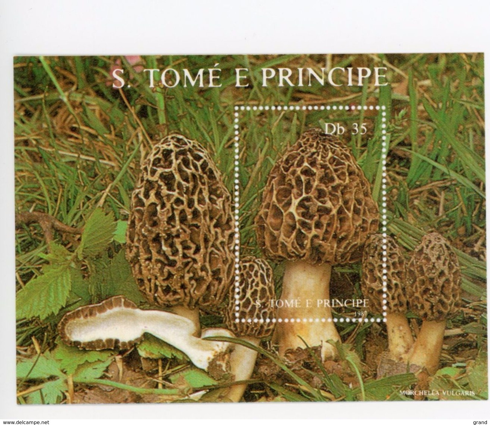 Sao Tome 1987-Champignon-MI B173***MNH - Sao Tome Et Principe