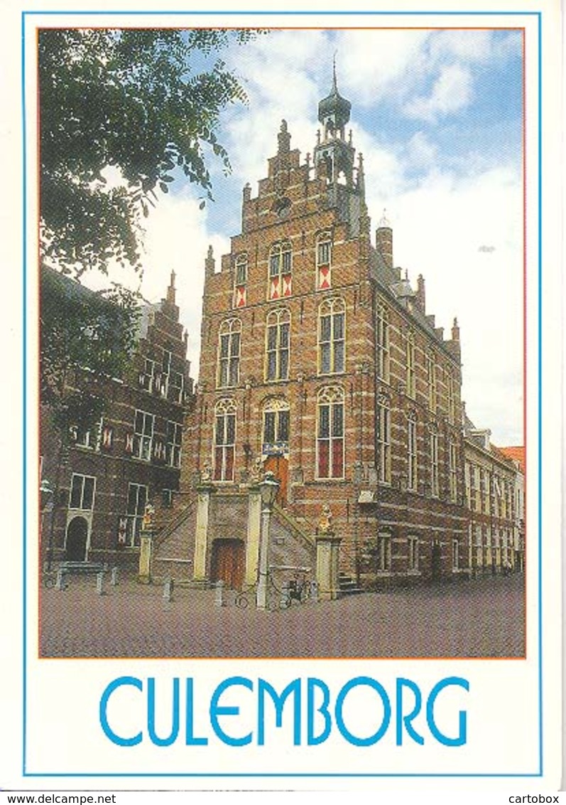 Culemborg, Stadhuis   (Een Raster Op De Kaart Is Veroorzaakt Door Het Scannen;de Afbeelding Is Helder) - Culemborg