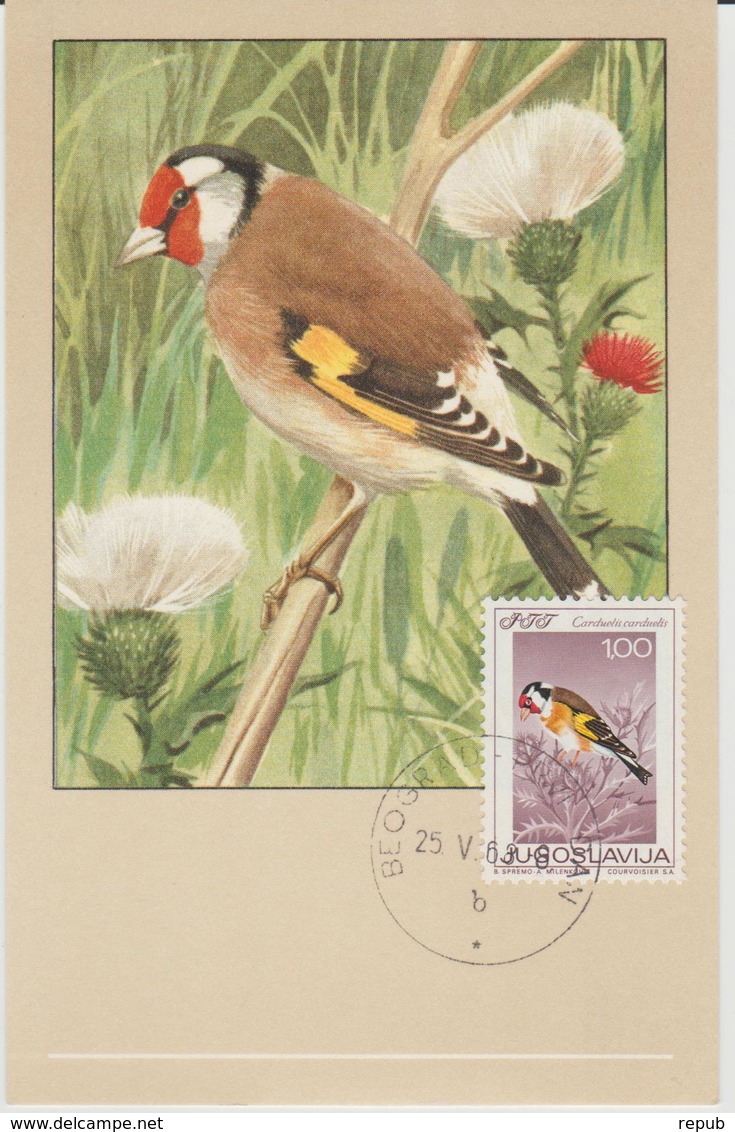 Yougoslavie Carte Maximum Oiseaux 1968 Chardonneret 1178 - Cartes-maximum