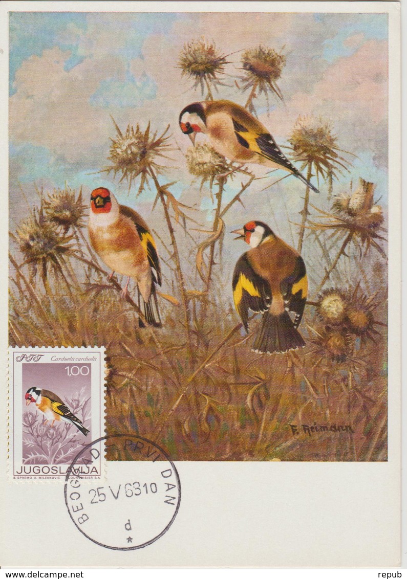 Yougoslavie Carte Maximum Oiseaux 1968 Chardonneret 1178 - Cartes-maximum